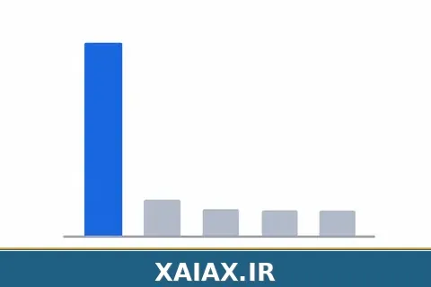 تمرکز بیش از حد روی یک دارایی — تصویر داخل متن زایاکس